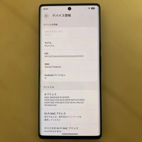 Google Pixel 6 Pro（G8V0U） 128GB