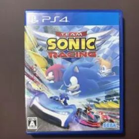 チームソニックレーシング