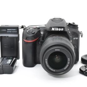 Nikon ニコン D7100 レンズキット デジタル一眼カメラ
