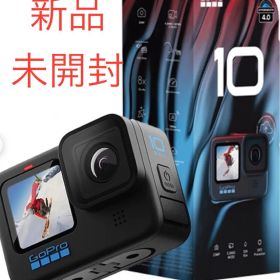 【新品未開封セット】GoPro HERO10本体 ケースレンズカバーセット