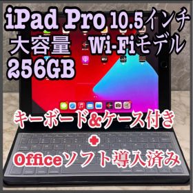 【美品】iPad Pro 10.5インチ256GB Wi-Fiモデル