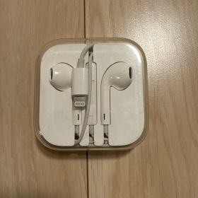 Apple EarPods with Lightning Connector