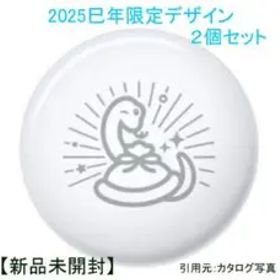 2025年限定デザイン AirTag 2個セット