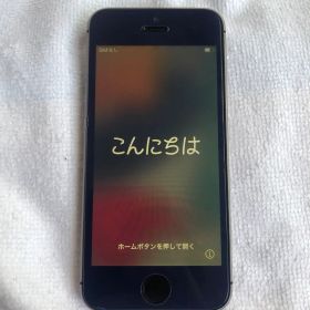 Apple iPhone SE 第1世代 ジャンク品