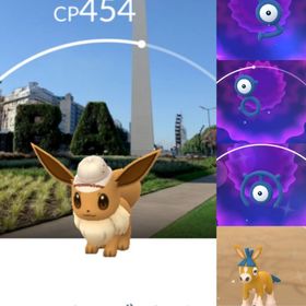 6689【PTC】シティサファリ ブエノスアイレスアカウント 色違い45匹、ドロバンコ219匹他 | ポケモンGOのアカウントデータ、RMTの販売・買取一覧