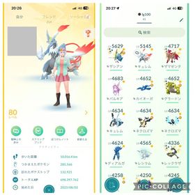 🔥2023年垢 🔥TL80🔥伝説体値MAX：41体. | ポケモンGOのアカウントデータ、RMTの販売・買取一覧