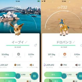 【シティサファリ】サファリ帽イーブイ９体、色違いドロバンコ | ポケモンGOのアカウントデータ、RMTの販売・買取一覧