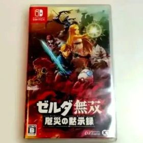 ゼルダ無双 厄災の黙示録 スイッチ ソフト