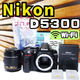 Nikon D5300 デジタル一眼レフカメラ AF-P Wi-Fi 動画