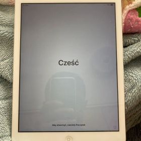 Apple iPad Air 初代 シルバー