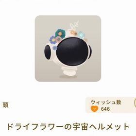 ドライフラワーの宇宙ヘルメット | リヴリーアイランドのアイテム、RMTの販売・買取一覧