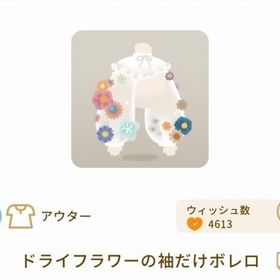 ドライフラワーの袖だけボレロ | リヴリーアイランドのアイテム、RMTの販売・買取一覧