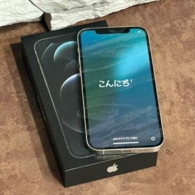 iPhone 12 Pro シルバー 256GB SIMフリー 初期化済み