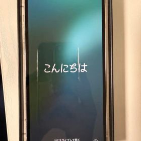 Apple iPhone 12 Pro シルバー 本体