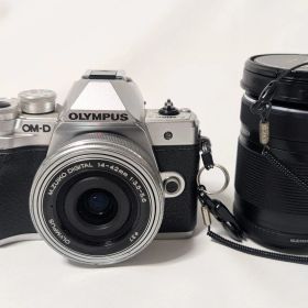 【セット売り】OLYMPUS オリンパス OM-D E-M10 MarkIII M.ZUIKO ED75-300