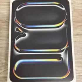 iPad Pro 11インチ M4 256GBWi-Fiモデル&スターターセット