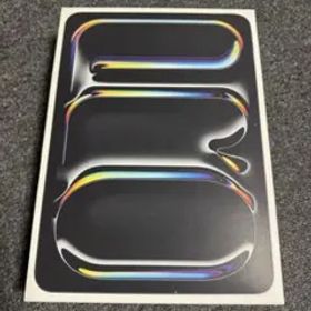 Apple iPad Pro (M4)11インチ 256GB 2025年購入品