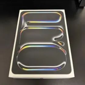 【新品同様】iPad Pro 11インチ M4 256GB スペースグレー