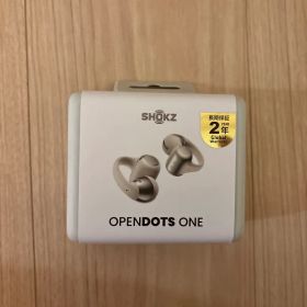 Shokz OpenDots ONE SKZ-EP-000053 グレー