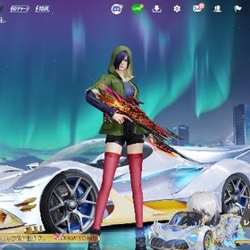 総課金額250万❗️✨引退垢‼️精鋭16‼️殿堂車、武器豊富✨ | 荒野行動のアカウントデータ、RMTの販売・買取一覧