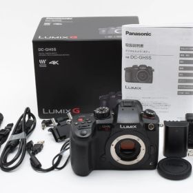 10105ショット!! 新品級 Panasonic DC-GH5S ボディ 箱付き！付属品多数 No1