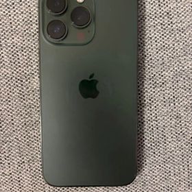 美品iPhone13ProグリーンSIM フリー Apple純正充電器セット