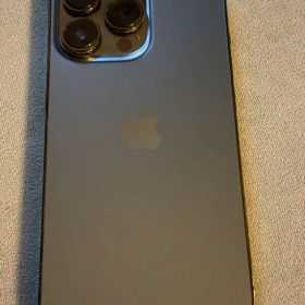 Apple iPhone 13 Pro グラファイト 128GB