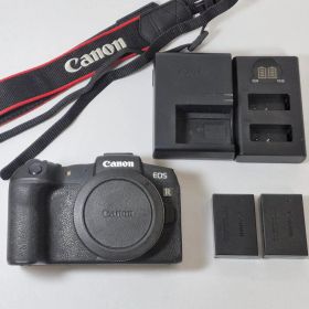 Canon EOS RP バッテリー×2付属