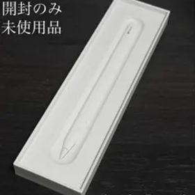 未使用 Care+保証 25年11月購入 Apple Pencil USB-C
