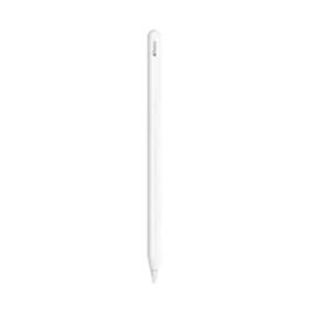 【新品未開封】Apple正規品 アップル Apple Pencil USB-C アップル純正 【送料無料メール便配送】