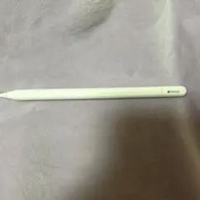 アップル Apple Apple Pencil（USB-C） MUWA3ZA/A