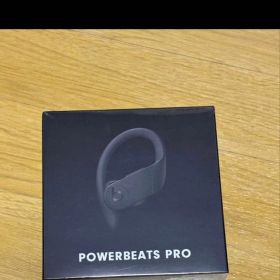 Beats Powerbeats Pro 完全ワイヤレスイヤフォン