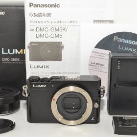 【6024ショット！】 パナソニック Panasonic GM5 レンズキット ブラック DMC-GM5K-K ＃8627