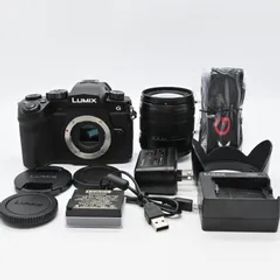 ★極上品★Panasonic LUMIX DC-G99DH 高倍率ズームレンズキット ブラック ショット数 519回