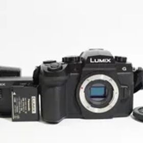 C021918-1)美品 PanasoniC LUMIX DC-G99D ミラーレス一眼