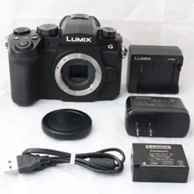 ☆美品・ショット数4828☆ Panasonic LUMIX G99D ボディ ブラック DC-G99D-K パナソニック ミラーレス一眼カメラ ルミックス #3519