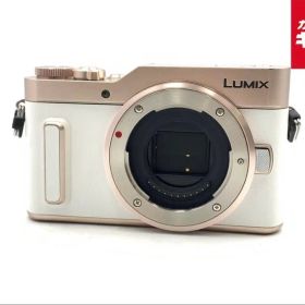 Panasonic LUMIX DC-GF10 ボディ 充電ケーブル付