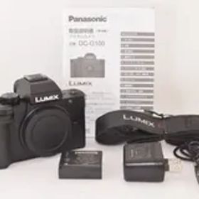 ★美品★ Panasonic パナソニック LUMIX DC-G100 ボディ ミラーレス一眼カメラ 2501821