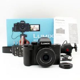 わずかシャッター数3800枚【新品級】PANASONIC LUMIX G100 Vキット DC-G100V-K ブラック#7909