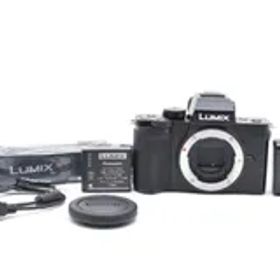 ★新品級★ パナソニック Panasonic LUMIX DC-G100 ボディ 《ショット数95回・付属品多数！》★完動品★ #75P56A509183