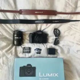 LUMIX DC-G100DW ミラーレス一眼 本体