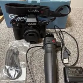 【美品】Panasonic LUMIX DC-G100V