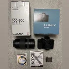 LUMIX DC-G100K ミラーレスカメラ H-FSA 100300