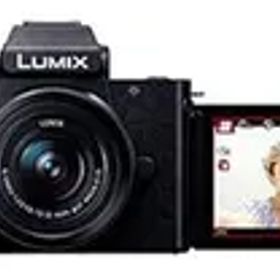 【中古】(非常に良い)パナソニック ミラーレス一眼カメラ ルミックス G100K 標準ズームレンズキット ブラック DC-G100K-K
