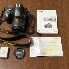 Nikon D3300 レンズキット 動作確認済 ショット数3277 レンズカビ
