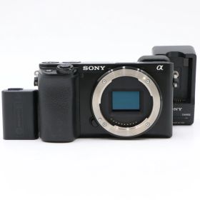 【ほぼ新品】 SONY ソニー ILCE-6100 Black ショット数4,105 枚!