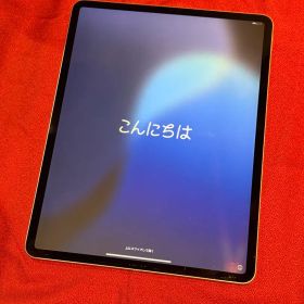 iPad Pro第4世代 12.9インチ 256GB wi-fiモデル