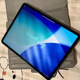 Apple iPad Pro M1 12.9 sim wifi