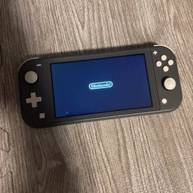 Nintendo Switch Lite グレー 本体ジャンク品