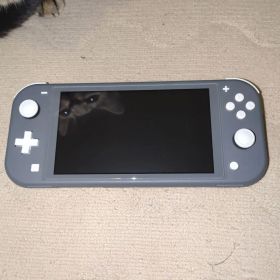 任天堂Switchlite スイッチ ライト グレー 本体